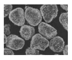 SEM image of carbon toner particles after VCH processing showing modified particle morphology and surface coating