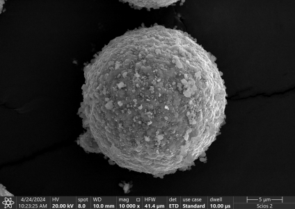 SEM cross-section image showing uniform 1 micron encapsulation layer on NMC ternary cathode material surface after VSH treatment